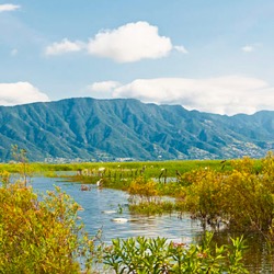 CHAPALA