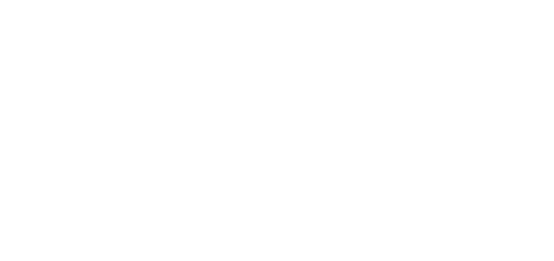 Chapala Plus Logo